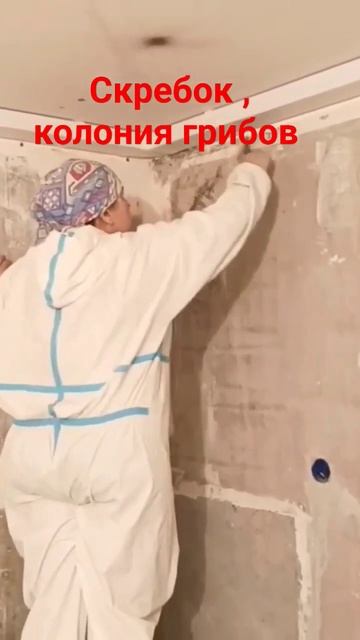 Плесень на стенах #малярныеработы #плесень #протечка#с смотреть онлайн