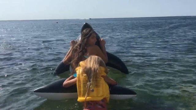 🌊🌊🐬БЕЛЛА ВЫРОСЛА❤️ смотреть онлайн