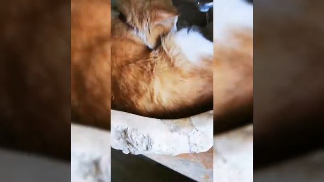 Перекраска мебели, делайте из старого новое смотреть онлайн