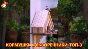 Кормушки и скворечники своими руками для птиц ТОП-3 (29) 🪚🪛🔨 Идеи для дачи и сада пошагово ❣️