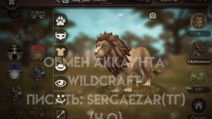 Обмен аккаунта WILDCRAFT.(Ч.О). НЕ АКТУАЛЬНО (ТАКЖЕ НА РОБЛ?