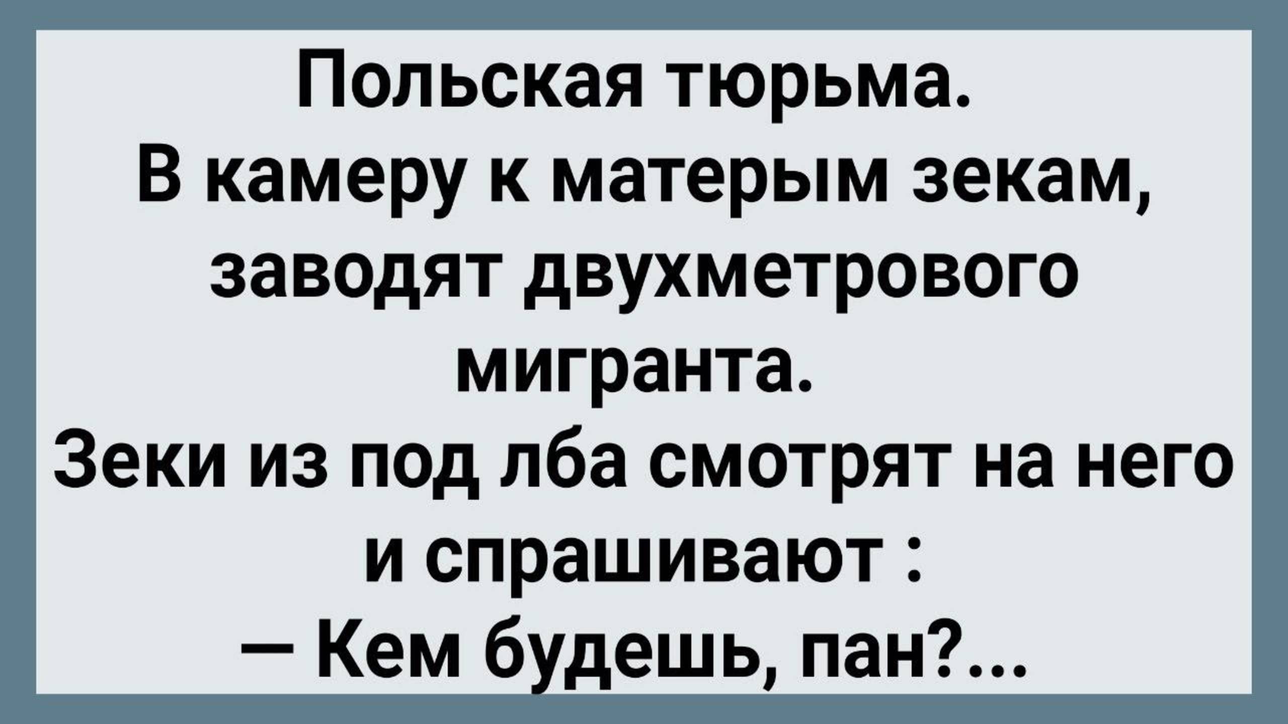 Мигрант в Польской Тюрьме! Сборник Свежих Анекдотов! Юмор!