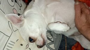 Самой доброй ночи и красивых снов.