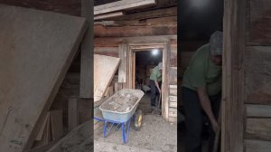 Лайтовый день