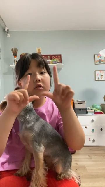 Ищем мастика день 1 смотреть онлайн