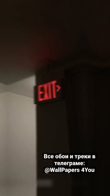 Все обои и треки в телеграме! тг: WallPapers 4You смотреть онлайн