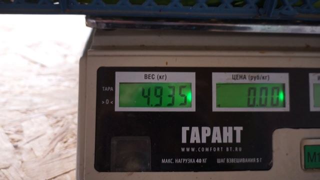 Интересный результат 20.03.2024.Лук на перо.Стардаст. смотреть онлайн