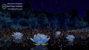 Матрица П.Гаряева - для сна и отдыха