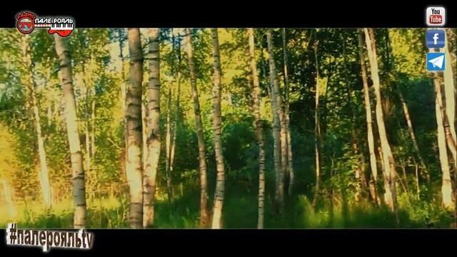 СОЛОВЕЙ. Стихи: Галина Вирт. смотреть онлайн