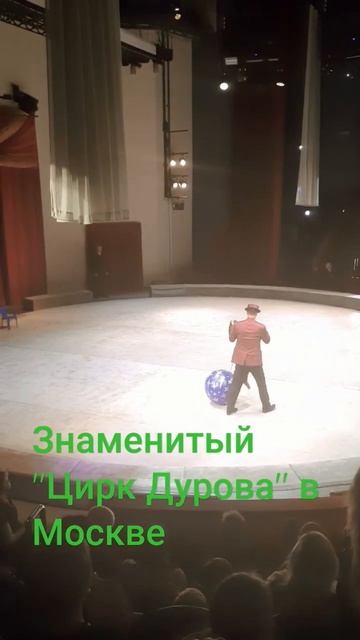 Цирк Дурова в Москве смотреть онлайн