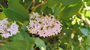 СНЯТО НА CMF PHONE 2 PRO