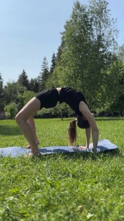 Гнусь на солнышке ☺️