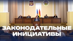 Законодательные инициативы
