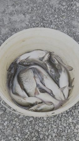Рыбалка, Дачи Север, Сургут.