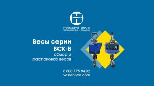 Распаковка и обзор крановых весов серии ВСК-В