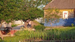 31.5.25г.  Обзор ОГОРОДА в конце ВЕСНЫ!!!