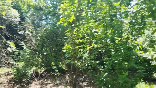 До выселения из отеля осталось несколько часов. Мы решили прогуляться по набережной.