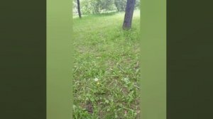 Правда которую боятся признать
когда любовь становится игрой