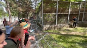 Наш зоопарк с рабочим визитом посетила заведующая отделом научных исследований Московского зоопарка