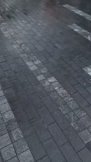 Мощение гранитной брусчаткой #ландшафтныйдизайн #гра? смотреть онлайн