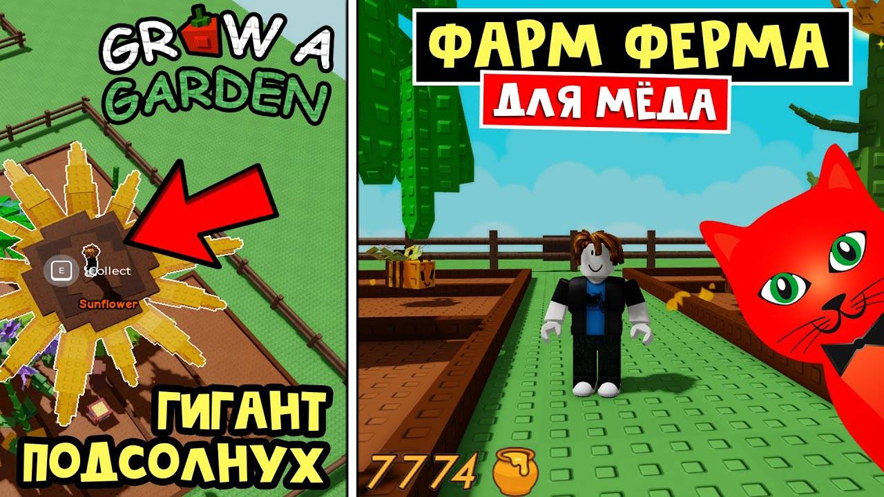 ИДЕАЛЬНАЯ ФЕРМА для ФАРМА МЁДА в игре Вырасти сад роблокс  Grow a Garden roblox  Выбил ПОДСОЛНУХ
