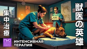 NVC 2025. Секция "Интенсивная терапия"