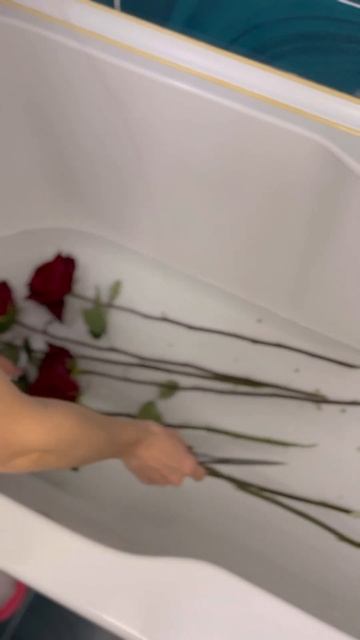 Это невероятно!!! #шок #чудеса #цветы #уход #природа #жен? смотреть онлайн