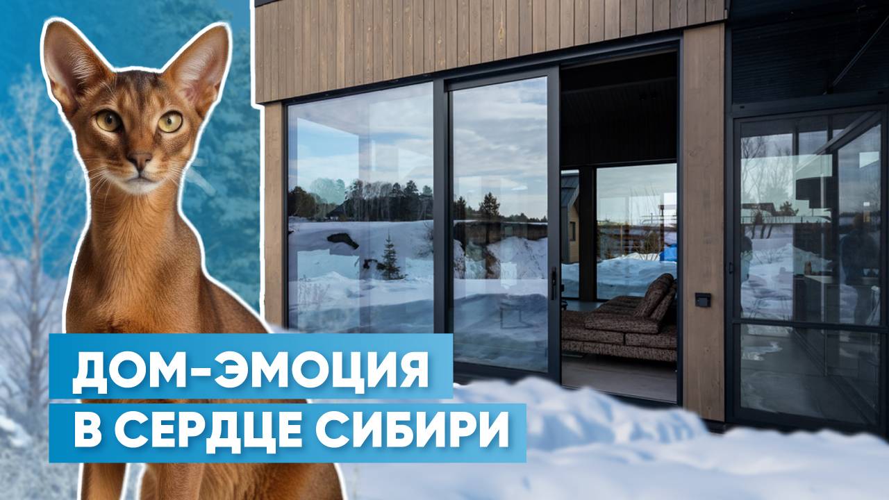 Дневники архитектора | Обзор дома-эмоции в сердце Сибири | Новосибирск, SAVIN & SAVINA STUDIO