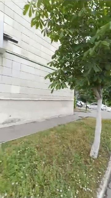 Казань,пр-кт Ямашева, д. 10, пр-кт Ямашева, д. 10 смотреть онлайн