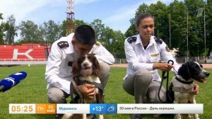 Телеканал «Первый», программа «Доброе утро», 30.05.2025