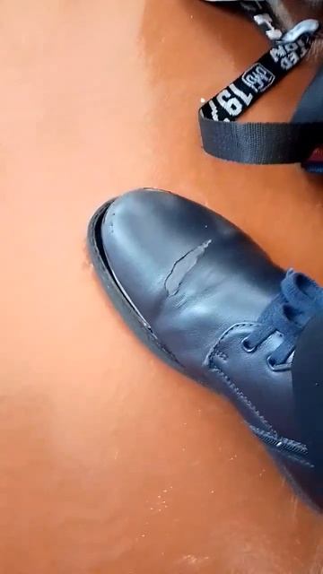 порвался, но с вами зоо тв ну а то канал цемент:) смотреть онлайн