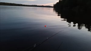 Рыбалка на сома