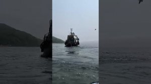 Это не добыча — это разграбление. Почему Шамора скоро станет мертвой зоной?