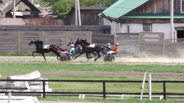 17.05.2025г.Абаканский Ипподром лошади рысистой породы 4-х лет и  старше  1600м