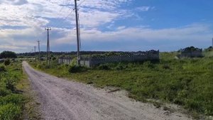 document_5325636709759609595