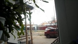 Любовь и голубь.
9 апреля 2023 г.