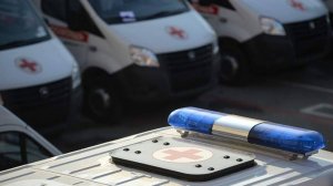 При обрушении моста под Брянском погибла врач детского хосписа Виолетта Горыня