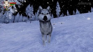 Достигли третье поколение династии! WolfQuest: Anniversary Edition #