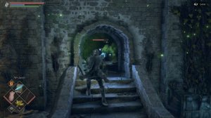 Demon's Souls король доран