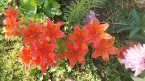 1-2.06.25  Работает корреспондент 😎