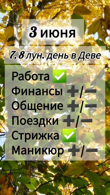 Лунный день 3 июня 2025 года