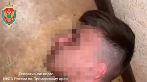 В Приморье арестовали двух 19-летних местных жителей за попытку поджога релейных шкафов !!!