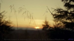 Музыка льётся так, что природа оживает на глазах - So My Love - Instrumental -- Anthem of Rain -- Fr