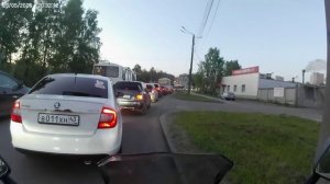 Щеми коробочников