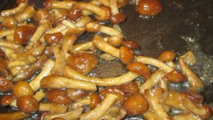 Карбонара с курицей и грибами