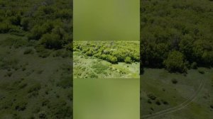 1000011404.mp4