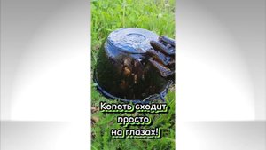 день чистоты