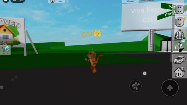 Я стала КОШКОЙ в Брукхейвен. Смешной скин котика в Brookha смотреть онлайн