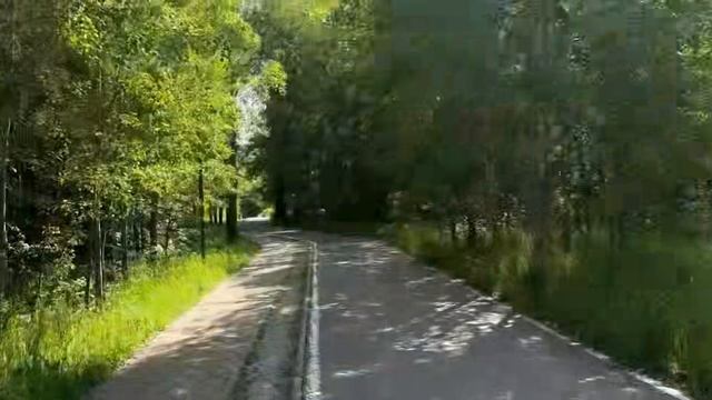 По Следам Лесных Обитателей: Кто Здесь Живет? смотреть онлайн