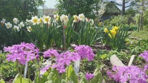 в гостях на даче